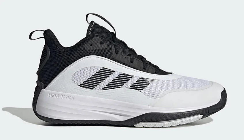 Adidas Own The Game 3 (Grey) basketball shoe