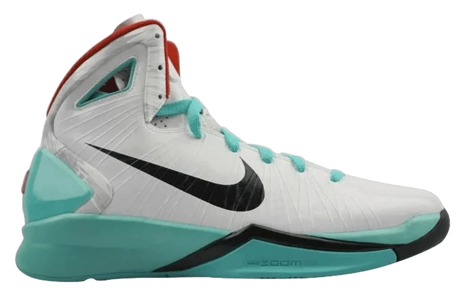 Nike Hyperdunk 2010 basketball shoe
