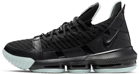 Nike LeBron 16 basketball shoe